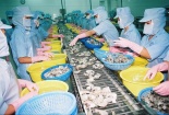 Hàng vào Mỹ sẽ chịu thêm rào cản mới